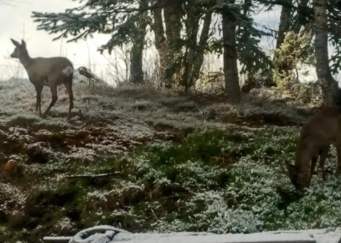 Cozy Retreat In Trend-by Traum Casa vacanze *